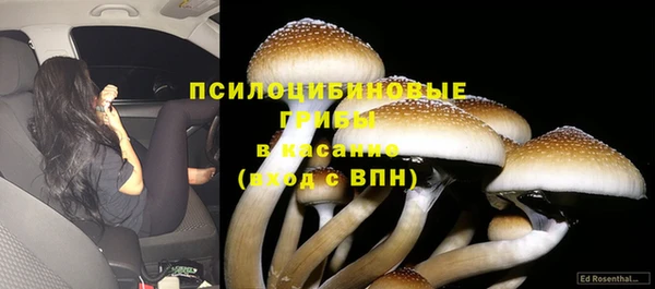 бошки Арсеньев
