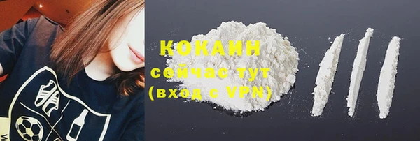 прущие грибы Баксан