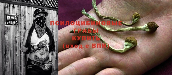 молекула духа Армянск