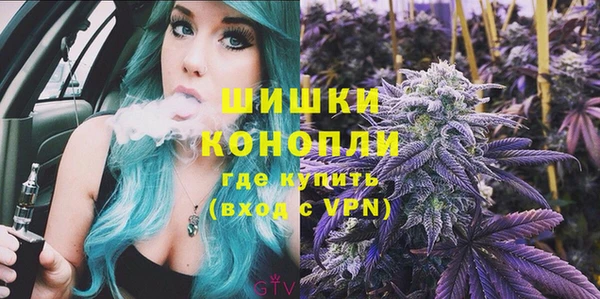 прущие грибы Баксан