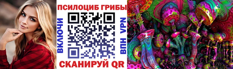 Псилоцибиновые грибы Cubensis маркетплейс как зайти Закаменск наркотики